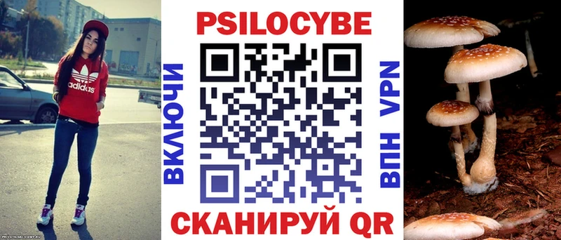 Галлюциногенные грибы Psilocybine cubensis Гай