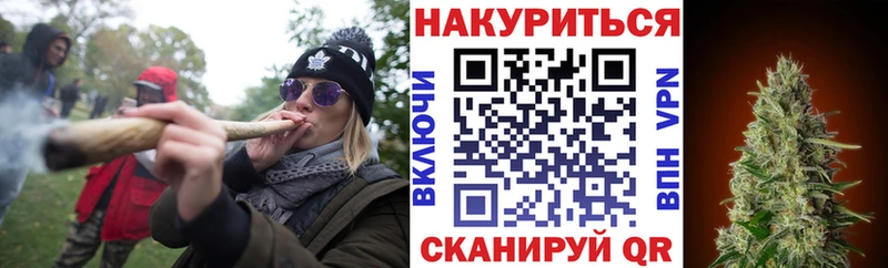 закладка  Гай  Канабис индика 